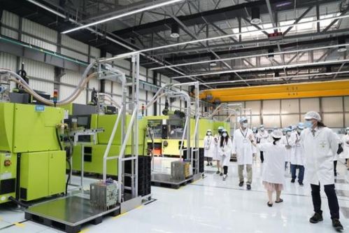 以質量和嚴謹著稱的德企，為何落戶臨港經濟技術開發區？