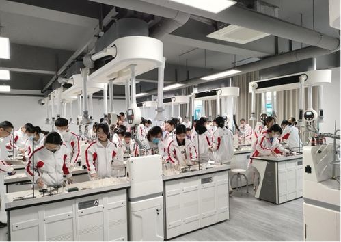 專業(yè)理化生實(shí)驗(yàn)室整體解決方案 服務(wù)全國的技術(shù)與設(shè)備供應(yīng)商